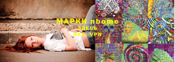 прущие грибы Алзамай