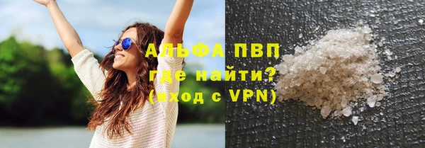 прущие грибы Алзамай